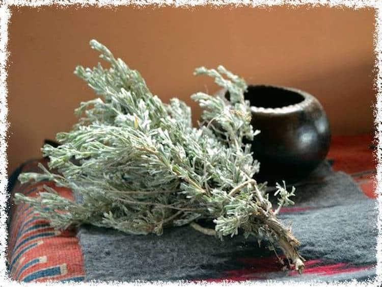 Банные веники (банный, веник) polyni