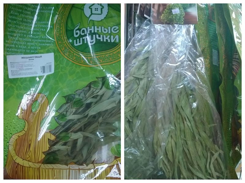Полезные свойства эвкалипта