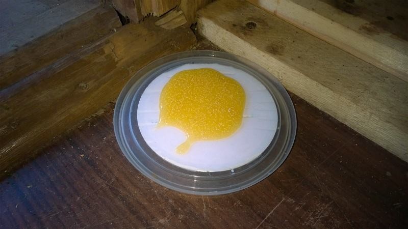 Как бороться с муравьями в бане и доме (бороться, муравей, баня) Яд для муравьев - готовим сами