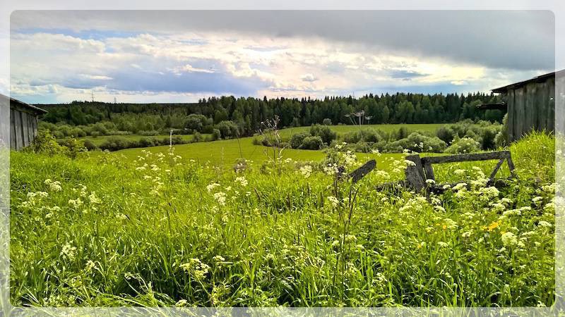 Деревенская баня в Кеннице Архангельской области, фото (деревенский, банить, кеннице, архангельский) деревня