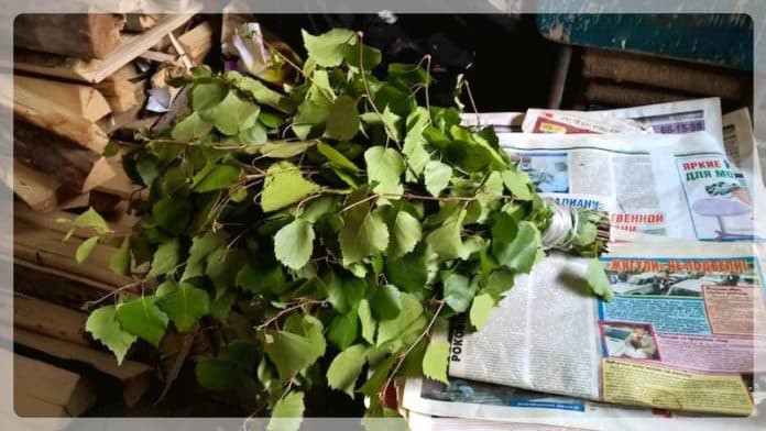 Деревенская баня в Кеннице Архангельской области, фото (деревенский, банить, кеннице, архангельский) Деревенская баня в Кеннице Архангельской области, фото