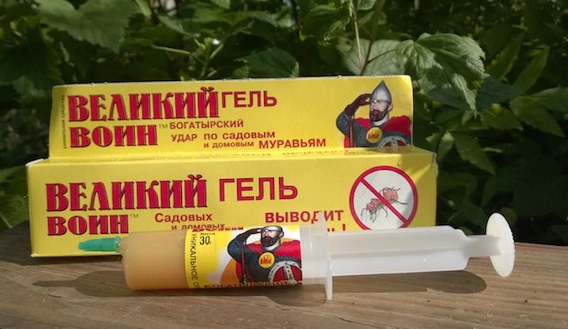 Великий Воин - средство для борьбы с муравьями