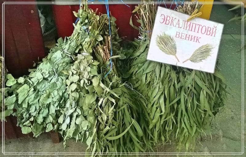 Как выбрать веник для бани – правильные советы (выбрать, веник, баня) эвкалиптовый веник