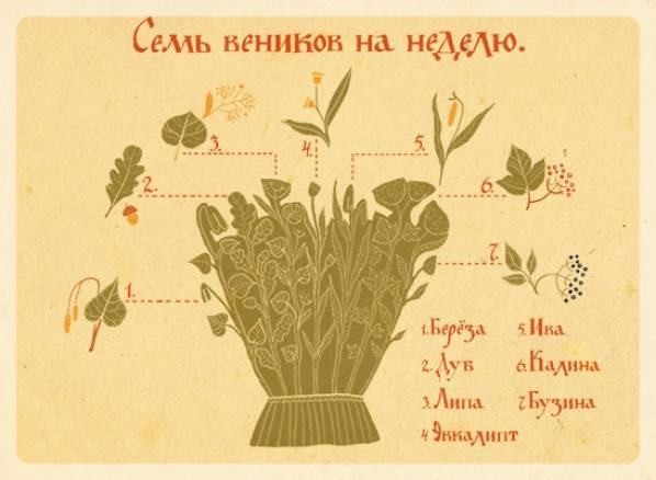 Калиновый веник для бани (калиновый, веник, баня) Веники на неделю
