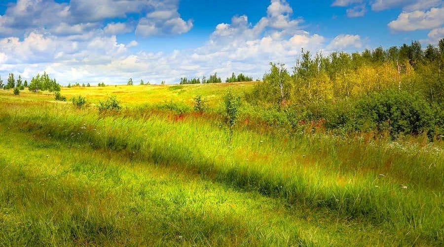 Небольшая баня из бруса 3х4 своими руками: подробная инструкция по строительству! (небольшой, банить, брус, рука, подробный, инструкция) Небольшая баня из бруса 3х4 своими руками: подробная инструкция по строительству!