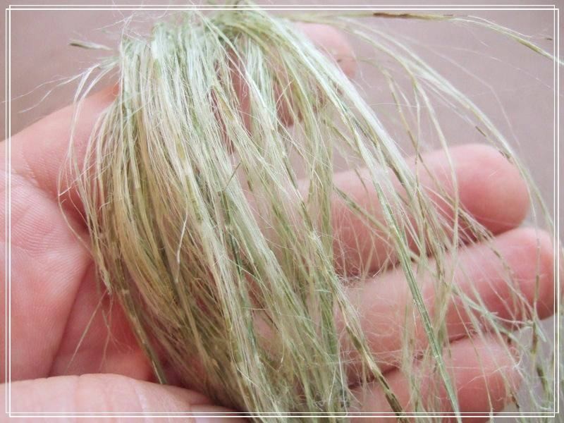 Мочалка из крапивы для бани (мочалка, крапива, баня) volokno