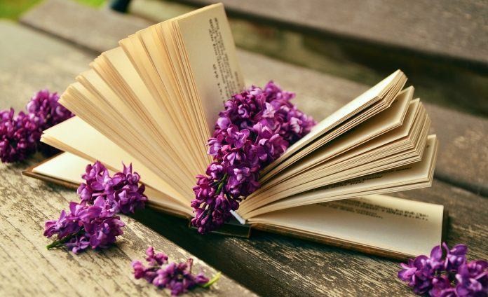 Самые лучшие книги о бане