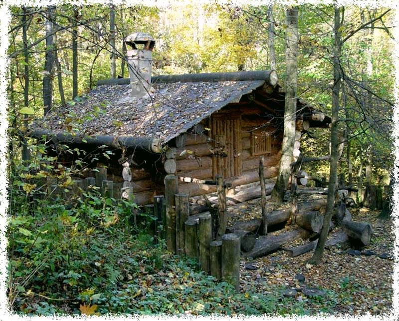 Сибирская баня (сибирский, банить) баня в тайге