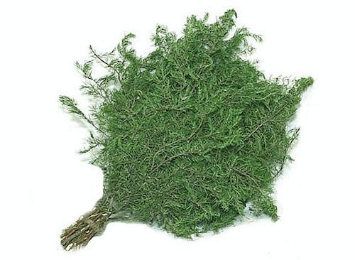 Веники для бани (веник, баня) Веник из можжевельника