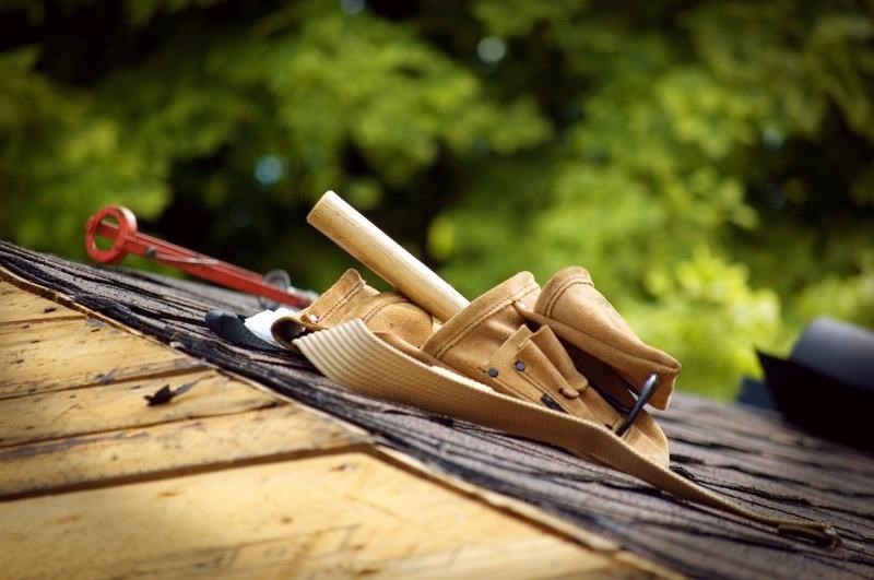 Всё о крышах для бани — от видов кровли и материалов до пожарной безопасности (весь, крыша, баня) инструмент на крыше