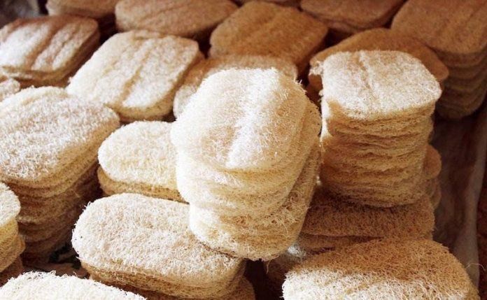 Всё о натуральной мочалке из люфы (весь, натуральный, мочалка, люфа) Всё о натуральной мочалке из люфы