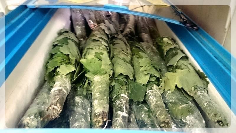 Знакомьтесь – замороженные веники для бани (знакомиться, заморозить, веник, баня) Знакомьтесь - замороженные веники для бани
