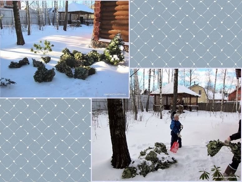 Знакомьтесь – замороженные веники для бани (знакомиться, заморозить, веник, баня) Знакомьтесь - замороженные веники для бани
