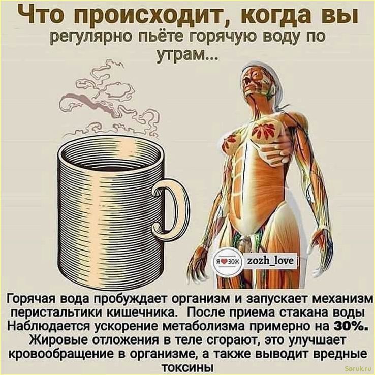 (польза, питья, бане, здоровья, релаксации) Польза питья в бане для здоровья и релаксации