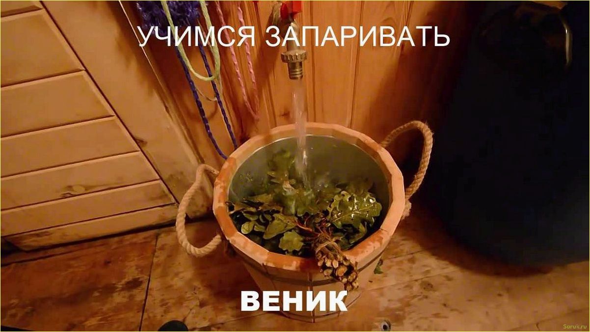 (правильно, запаривать, веники, бани) Как правильно запаривать веники для бани