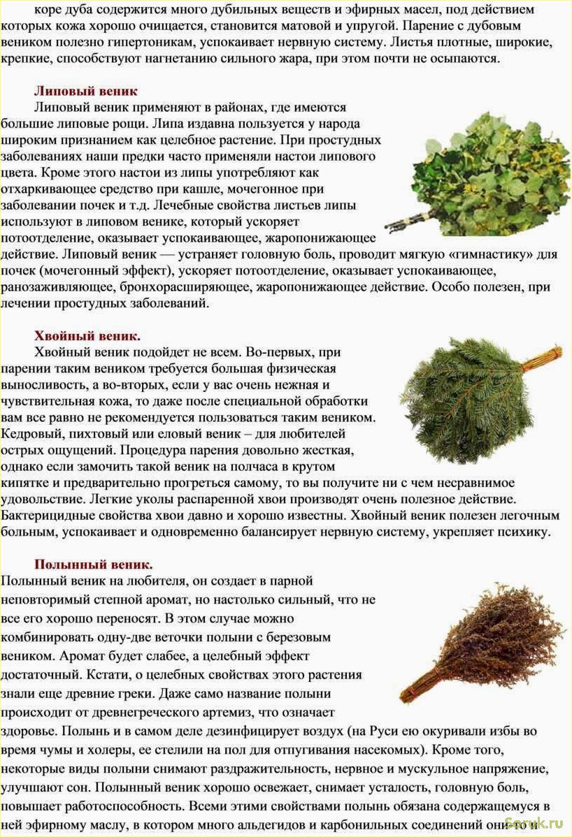 (правильно, запаривать, веники, бани) Как правильно запаривать веники для бани
