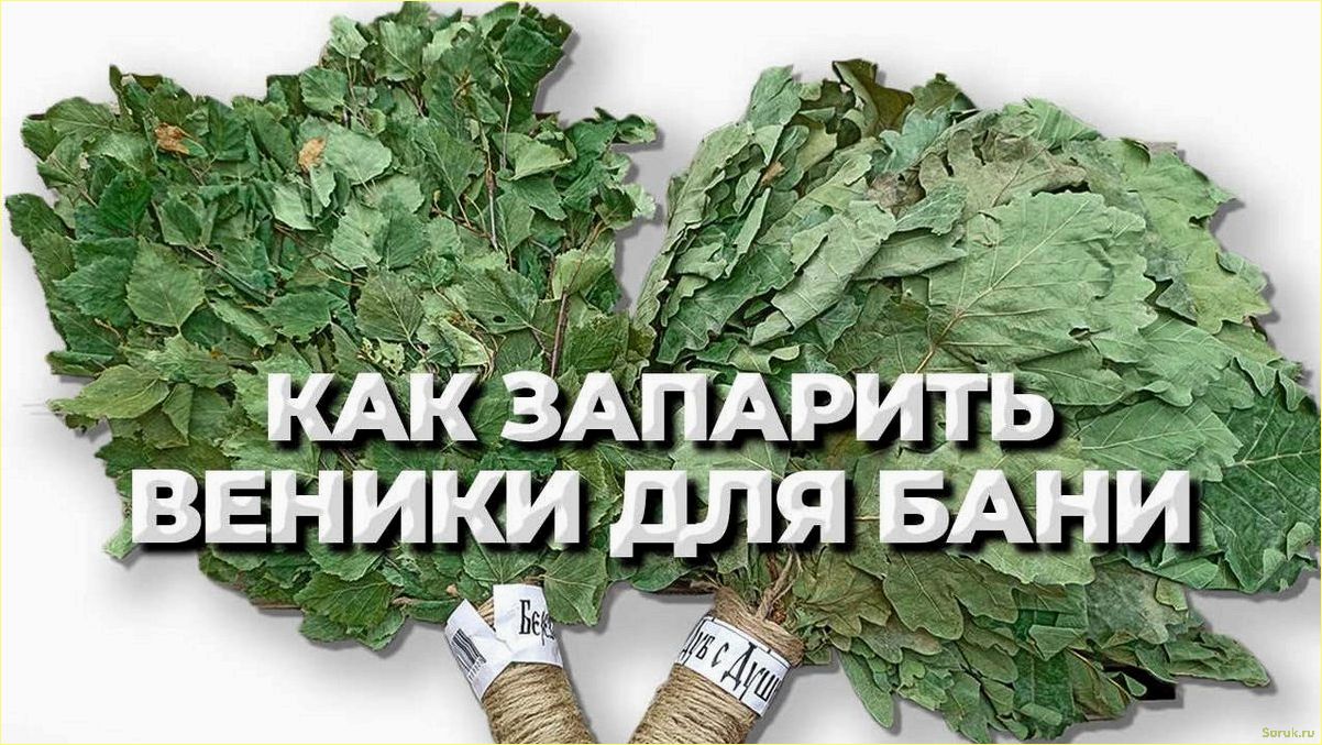 (правильно, запаривать, веники, бани) Как правильно запаривать веники для бани