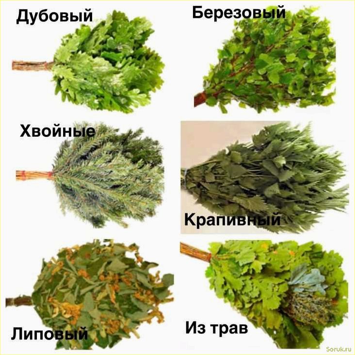 (выбор, лучшего, веника, уборки, здоровья) Выбор лучшего веника для уборки и здоровья