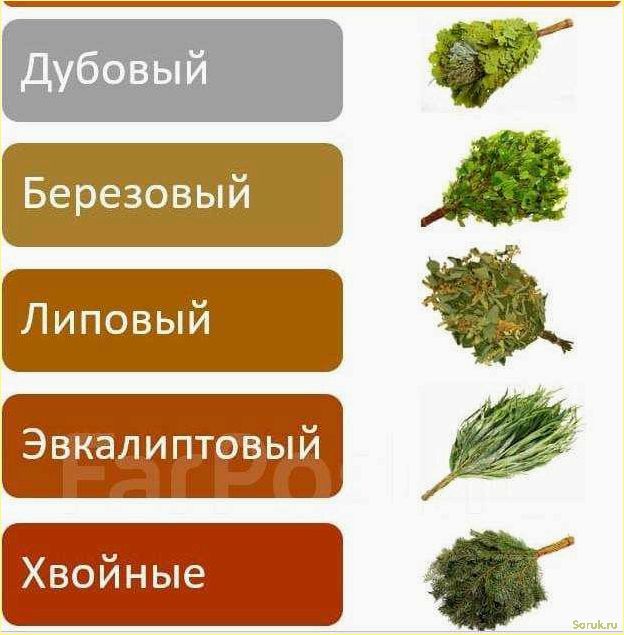 (выбор, лучшего, веника, уборки, здоровья) Выбор лучшего веника для уборки и здоровья
