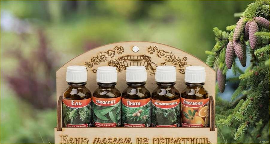(эфирные, масла, травы, парной, правильное) Эфирные масла и травы в парной: правильное использование для максимальной пользы