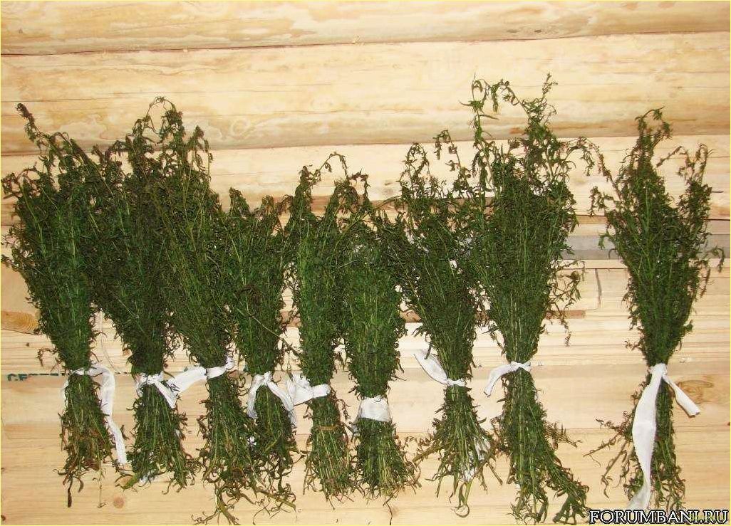 (полынь, бани, натуральное, средство, здоровья) Полынь для бани как натуральное средство для здоровья и уюта