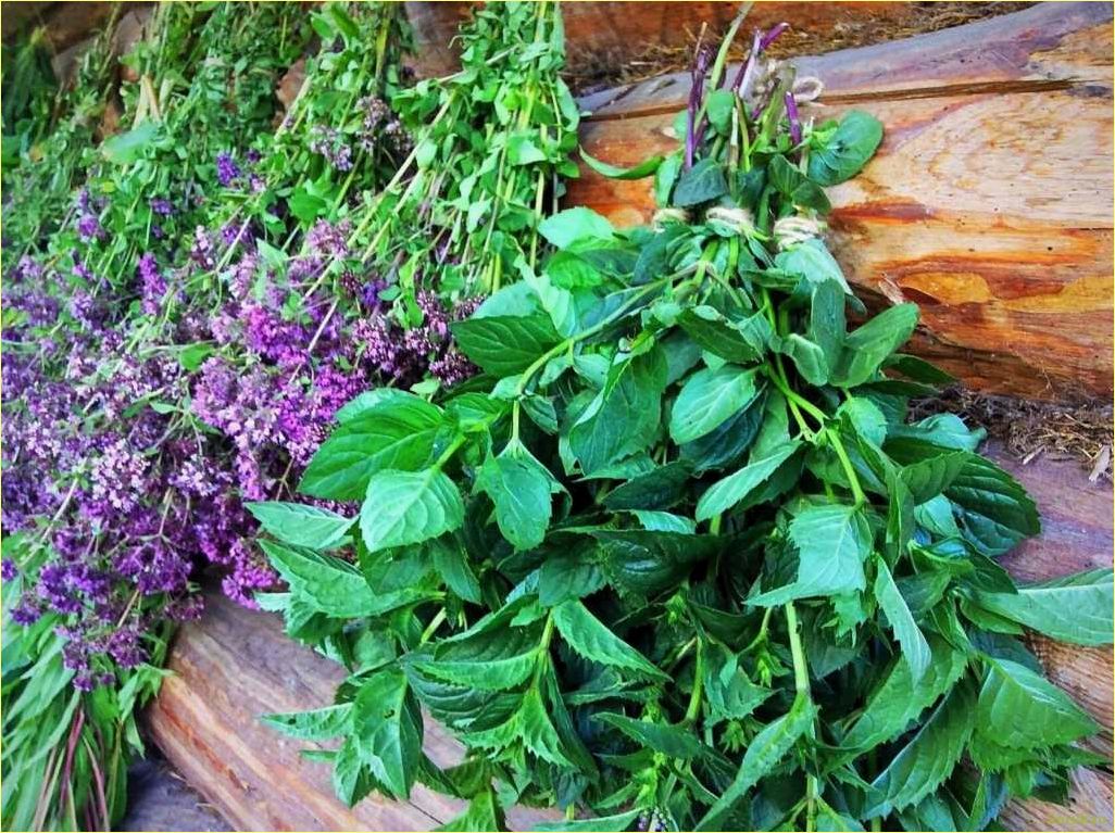 Польза мяты в бане для здоровья и расслабления