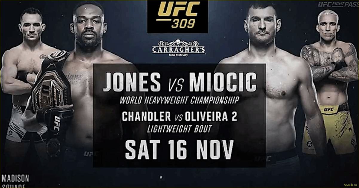 (ставки, выигрывать) Как делать ставки на UFC и выигрывать